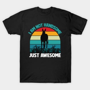 I am not handsome just Awesome T-Shirt